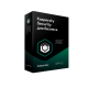 Kaspersky Endpoint Security для бизнеса стандартный 10 - 14 node, Base 1 year